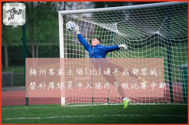 梅州客家主场1比1逼平成都蓉城,替补席球员冲入场内导致比赛中断
