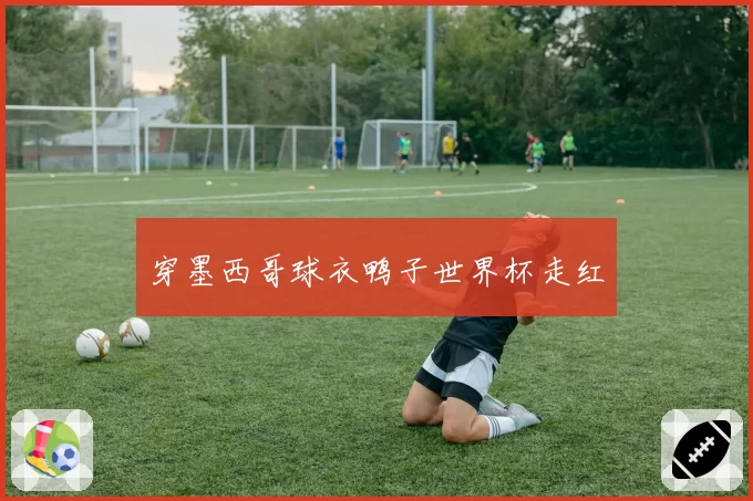 穿墨西哥球衣鸭子世界杯走红